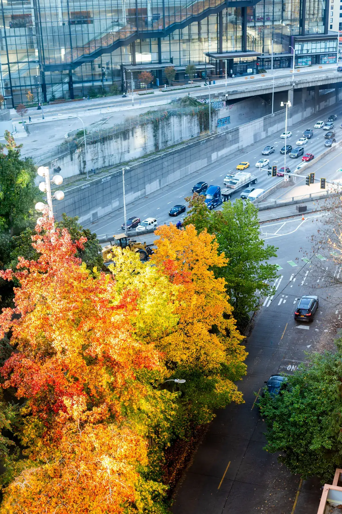 Street below the building lined with autumn trees