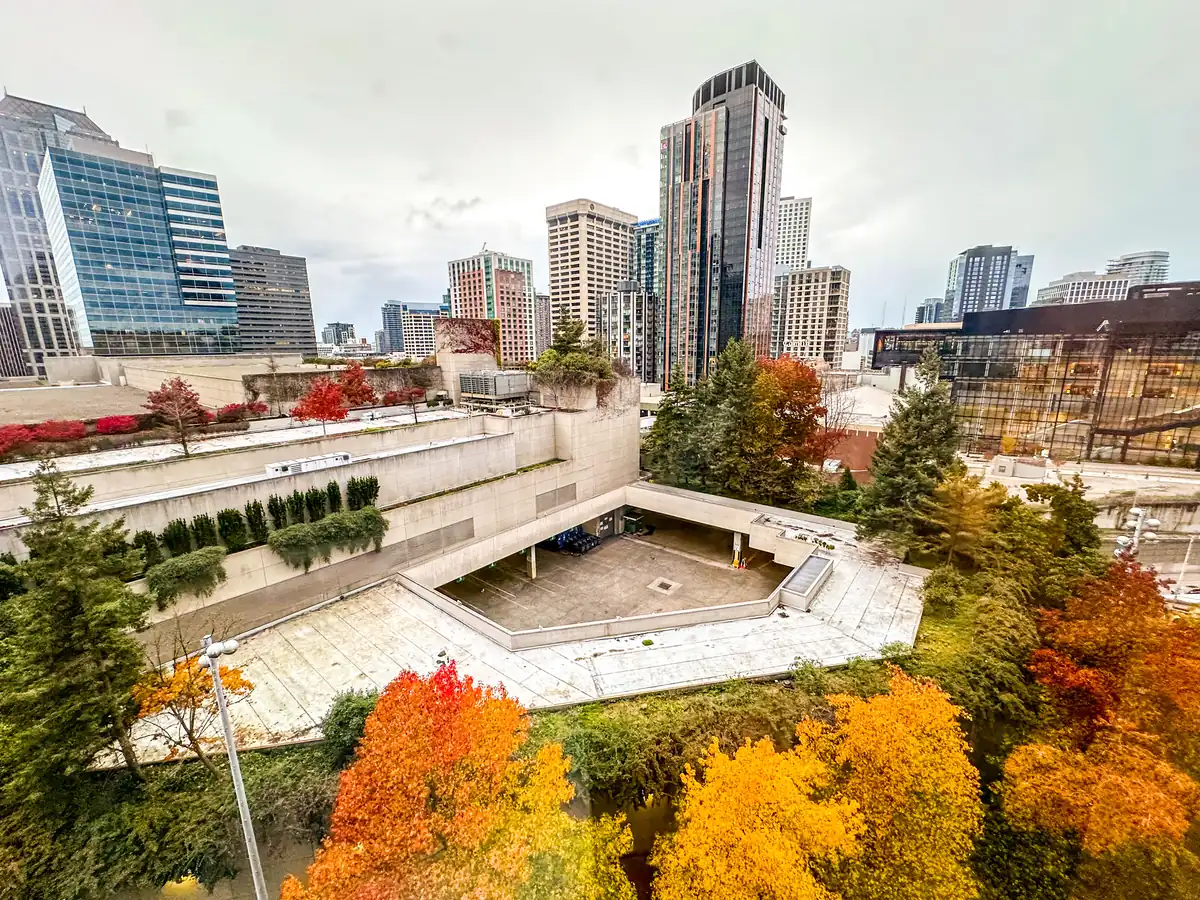 Looking out over downtown Seattle towers and autumn trees
